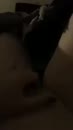 Mm, film 00:00:18, 6 reacties, 28 stemmen