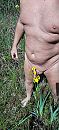 Mooi geel, foto 1504x3264, 0 reacties, 6 stemmen