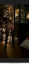 Mooi voor de boom, foto 1440x3120, 2 reacties, 13 stemmen