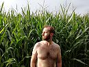 Mooie man in het veld (mais), foto 1600x1200, 6 reacties, 18 stemmen