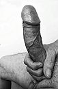 More me, foto 1238x1876, 4 reacties, 15 stemmen