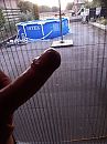 Morningwood, foto 720x960, 3 reacties, 21 stemmen