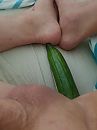 Mr komkommer, foto 3000x4000, 7 reacties, 24 stemmen