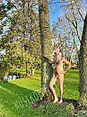 Najaarszon, foto 1025x1366, 17 reacties, 117 stemmen