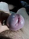 Nat van de precum, foto 3000x4000, 8 reacties, 12 stemmen