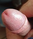 Natte eikel, foto 1938x2241, 15 reacties, 25 stemmen