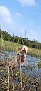 Natte kont, foto 720x1560, 2 reacties, 10 stemmen