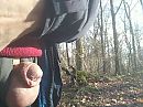 Natuur, foto 720x540, 3 reacties, 8 stemmen