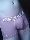 Nieuwe dag, nieuwe boxer, foto 2472x3296, 4 reacties, 15 stemmen