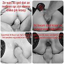 Nieuwe neuker, foto 2000x2000, 10 reacties, 44 stemmen
