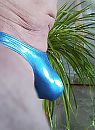 Nieuwe string, foto 1270x1724, 19 reacties, 36 stemmen