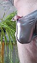 Nieuwe string, foto 1183x2005, 13 reacties, 26 stemmen