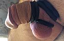 Nog in slappe toestand, foto 2855x1837, 0 reacties, 2 stemmen