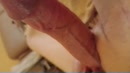 O o o ... libido, film 00:00:17, 0 reacties, 4 stemmen