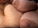Ochtend, foto 1280x960, 78 reacties, 168 stemmen