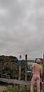 Ochtend wandeling, foto 1944x4000, 6 reacties, 15 stemmen