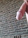 Ochtend, foto 2208x2944, 6 reacties, 23 stemmen