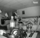 Oeps op de camera, film 00:00:00, 4 reacties, 38 stemmen