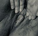 Oeps, foto 1170x1107, 16 reacties, 83 stemmen