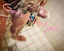 Onder de douche, foto 3777x3024, 5 reacties, 33 stemmen