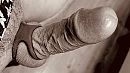 Ooh wat is hij weer lekker…….., foto 2798x1574, 10 reacties, 40 stemmen