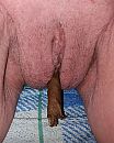 Ook al aan de sigaar?, foto 1777x2217, 2 reacties, 17 stemmen