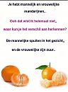 Ooo is dat zo, foto 446x600, 0 reacties, 9 stemmen