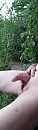 Op ,n bankje, foto 1195x4000, 6 reacties, 20 stemmen