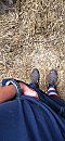 Op de manege, foto 444x960, 20 reacties, 98 stemmen