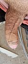 Op het werk, foto 1801x4000, 3 reacties, 6 stemmen