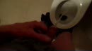 GULPONDERBROEK, film 00:00:00, 3 reacties, 7 stemmen