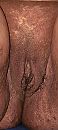 P, foto 724x1609, 3 reacties, 12 stemmen