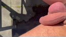 Pee,piss,plassen,, film 00:00:26, 7 reacties, 28 stemmen