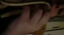 Pfff kreeg ik in m’n whatsapp, film 00:00:16, 4 reacties, 19 stemmen