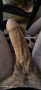 Pik6, foto 1848x4000, 5 reacties, 10 stemmen