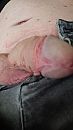 Pik, foto 1836x3264, 3 reacties, 4 stemmen