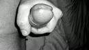 Playing, film 00:00:11, 2 reacties, 6 stemmen