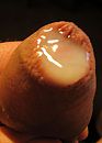 Precum 2, foto 1228x1700, 1 reacties, 3 stemmen