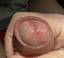 Precum.!!,,, foto 324x293, 5 reacties, 9 stemmen
