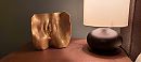 Golden pussy, foto 4000x1802, 21 reacties, 85 stemmen