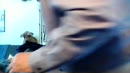 Rageren en schoonlikken ..., film 00:00:00, 0 reacties, 1 stemmen