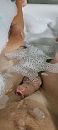 Relax momentje, foto 1801x4000, 1 reacties, 7 stemmen
