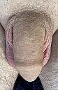 Relax, foto 1645x2569, 1 reacties, 7 stemmen