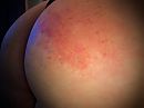 Rode billen, foto 799x598, 11 reacties, 60 stemmen