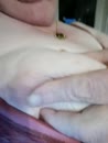 Saturdsy wake up video, film 00:00:11, 3 reacties, 19 stemmen