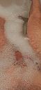 Schoon!, foto 1847x4000, 1 reacties, 2 stemmen