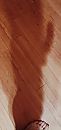 Shadowman, foto 1328x2788, 2 reacties, 5 stemmen