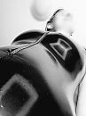 Shine, foto 2448x3264, 9 reacties, 44 stemmen