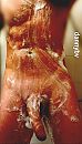 Showerselfie, foto 724x1265, 4 reacties, 8 stemmen