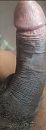 Shurandy 2..., foto 852x2398, 1 reacties, 2 stemmen